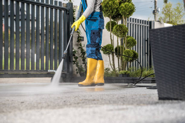Best Pool Deck Cleaning  in Newark, NY